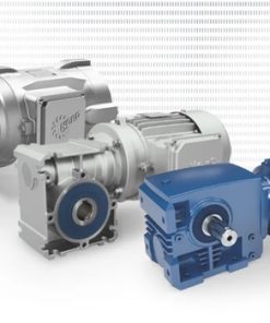 Động cơ giảm tốc trục vít bánh vít - WORM GEAR MOTOR